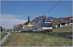 A MOB Belle Epoque Service from Montreux to Zweisimmen by Planchamp.