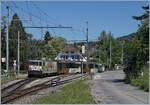The MOB GDe 4/4 6006 wiht his Panoramic Express to Zweisimmen in Fontanivent. 

11.05.2020