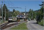 The MOB GDe 4/4 6006 wiht his Panoramic Express to Zweisimmen in Fontanivent.