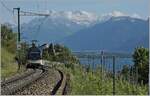 The MOB Alpina ABe 4/4 9304 and Be 4/4 9204 with his MOB Belle Epoque Service to Montreux between Planchamp and Châtelard VD.