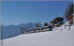 A MOB Alpina Be 4/4 wiht his Panoramic Service near Les Avants. 

11.01.20222