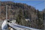 A MOB Alpina with a Panormic Express on the way from Zweisimmen to Montreux between Les Avants and Sendy-Sollard.