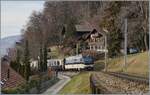 The MOB Ge 4/4 8002 wiht the  MOB Belle Epoque  Servicefrom Montreux to Zweisimmen by Chernex. 

09.01.2021 