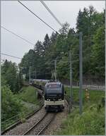 MOB ABe 4/4 an Be 4/4 (Serie 9000) with a Belle Epoque Service from Montreux to Zweisimmen between Sendy-Sollard and Les Avants.

16.05.2020