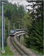 A MOB Ge 4/4 Serie 8000 with Panoramic Express from Zweisimmen to Montreux between Les Avants and Sendy-Sollard. 

16.05.2020