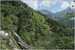 A MOB Panoramic Express on the way from Zweisimmen to Montreux between Les Avants and Sendy-Sollard.

 
17.05.2020