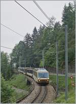 The MOB GDe 4/4 6004 with his GoldenPass service on the way from Montreux to Zweisimmen between Sendy-Sollard and Les Avants.