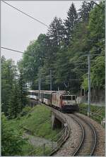 The MOB GDe 4/4 6006 with his GoldenPass service on the way from Montreux to Zweisimmen between Sendy-Sollard and Les Avants. 

16.05.2020