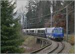 The MOB Ge 4/4 8001 with the MOB GoldenPass Express 4065 on the way from Interlaken Ost to Montreux near Sendy-Sollards.