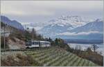 The MOB GDe 4/4 6006 with one of the last GoldenPass Panoramic Express on the way from Montreux to Zweisimmen near Planchamp. 

05.12.2020