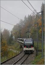 A MOB  Alpina  Service on the way to Montreux betwenn Les Avants and Chamby.

23.10.2020