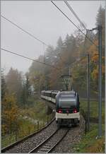 A MOB  Alpina  Service on the way to Montreux betwenn Les Avants and Chamby.

23.10.2020