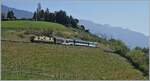 The MOB GDe 4/4 with a short MOB Panoramic Express (Covid 19) by Planchamp. 

14.04.2020