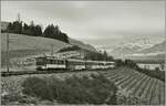 The MOB GDe 4/4 6005 with his Panoramic Expres Montreux - Zweisimmen by Planchamp.