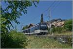 The CEV MVR ABeh 2/6 7506 is bei Plachamp on the way from Les Avants to Montreux.

24.06.2023