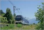 The CEV MVR ABeh 2/6 7503  Blonay-Chamby  is bei Plachamp on the way to Les Avants.