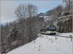 A Alpina Train service on the way to Zweisimmen by Les Avants. 

02.12.2020
