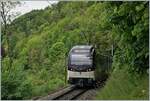 The CEV MVR ABeh 2/5 7504 in the wood by Sonzier on the way to Montreux. 

02.05.2020