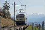 The MOB GDe 4/4 6003 near Planchamp over Montreux on the way to Zweisimmen.