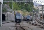 Golden Pass Express trains in Montreux.