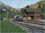 Since the MOB GDe 4/4 are no longer used in scheduled passenger train services, pictures of these locomotives are no longer so easy to obtain. I was all the more pleased when she discovered the GDe 4/4 6002 in Rossinière with a short freight train. The locomotive pushed the cars and was heading towards Montreux. 

September 29, 2023