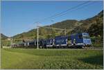 The MOB Ge 4/4 8001 is on the way to Zweisimmen with the GoldenPass Express GPX 4064 in Rossinière. 

29. September 2023