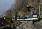 A regional train is on its way from Zweisimen to Montreux near Chernex, pushed by the MOB Alpina Series 9000 Be 4/4 9203.