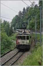 The MOB GDe 4/4 6006 wiht his Golden Pass Panroamique Express between Les Avants and Sendy-Sollard on the way to Zweisimmen.