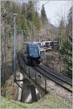 The Goldenpass Express GPX from Interlaken to Montreux between Les Avants and Sendy Sollard.

22.03.2024