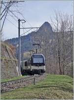 The MOB ABe 4/4 9301  Alpina  wiht a PE 30 by Les Avants on the way to Zweisimmen. 

22.03.2024