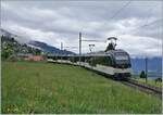 A MOB Be 4/4 Series 9000  Alpina  on the way from Zweisimmen to Montreux near Sonzier.
