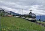 A MOB Be 4/4 Series 9000  Alpina  on the way from Zweisimmen to Montreux near Sonzier.

May 2, 2020