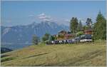 I have often mentioned that “my” popular MOB photo locations in the surrounding area are hardly suitable for the GoldenPass Express due to backlighting.