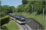 By Sonzier runs the MOB ABe 4/4 9302  Alpina  wiht his Regional train service from Zweisimmen to Montreux.