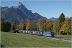 The MOB Ge 4/4 8001 is between Schönried and Gruben with the MOB/BLS GoldenPass Express 4065 on the way from Interlaken Ost to Montreux, with the narrow-gauge locomotive taking over the train at the Zweisimmen gauge conversion station. October 13, 2025 The MOB Ge 4/4 8001 is between Schönried and Gruben with the MOB/BLS GoldenPass Express 4065 on the way from Interlaken Ost to Montreux, with the narrow-gauge locomotive taking over the train at the Zweisimmen gauge conversion station. October 13, 2025