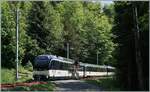 With the ABe 4/4 9204 at the rear is an MOB PE 30 above Chamby on the way to Zweisimmen.

May 2, 2026