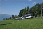 At Les Avants, two MOB ABe 4/4 or Be 4/4 (series 9000) with the MOB Belle Epoque are on the way from Montreux to Zweisimmen.

June 15, 2025