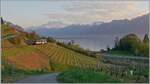 The MOB GDe 4/4 6004 'Interlaken' is traveling with its Golden Pass Panoramic above Montreux, and the picture shows, besides the train—which here becomes rather secondary—the beautiful landscape of this region.

April 11, 2020