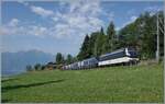 The MOB Ge 4/4 Series 8000 is operating with its GoldenPass Express Montreux - Interlaken Ost and will soon reach Les Avants.

June 15, 2025