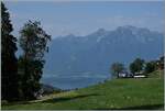 While deep below Lake Geneva can be seen, on the right edge of the picture the MOB Ge 4/4 series 8000 is visible, which with its GoldenPass Express Montreux - Interlaken Ost will soon reach Les Avants.

June 15, 2025