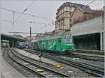 The MOB Ge 8004 shunts its Goldenpass Express while in the background the Ge 4/4 8001 waits for the departure of its GoldenPass Express to Interlaken Ost.

December 7, 2024