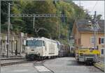MOB Ge 4/4 8002 „125 Jahre MOB“ verlässt nach einem kurzen Halt den Bahnhof Chamby mit dem GoldenPass Express (GEX 4069). Der Zug fährt von Interlaken Ost nach Montreux.  
Ort: Bahnsteig am Bahnhof Chamby.

17. Oktober 2026