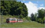 CEV Local train 1383 from Blonay to Les Pléiades near Fayaux.