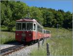 CEV Local train 1383 from Blonay to Les Pléiades near Fayaux.
02.06.2015