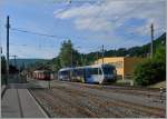 CEV trains in Vevey. 
31.05.2015