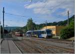 CEV trains in Vevey. 
31.05.2015