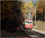 The CEV  MVR BDeh 2/4 73 between Bois de Chexbres and Fayaux. 
27.10.2015
