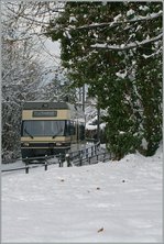 A CEV MVR GTW Be 2/6 by the Castle of Blonay.