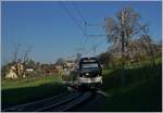 The CEV MVR ABeh 2/6 7505 near St-Légier Gare. 03.04.2017