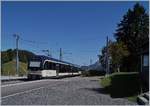 The CEV MVR ABeh 2/6 7504  VEVEY  is leaving the summit Station Les Pleiades on the way to Vevey.
27.08.2018